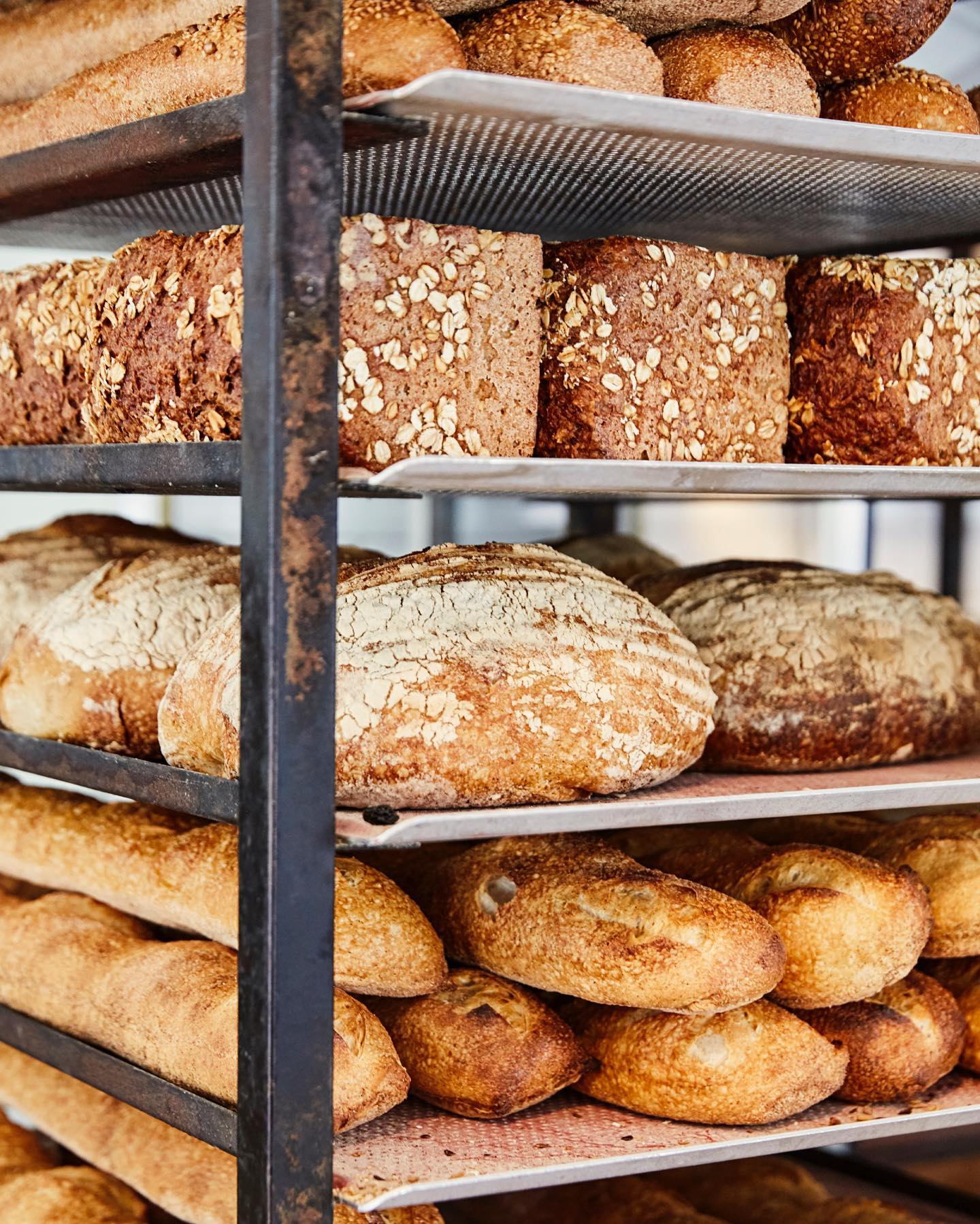 471161446_1071511711440006_8620297738345425070_n