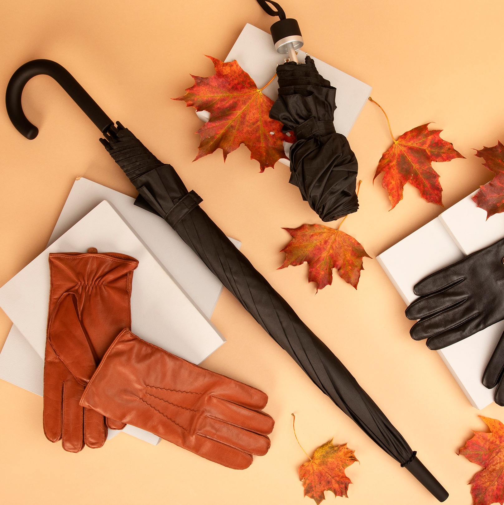 484560676_3058616150962337_7341006778090180777_n