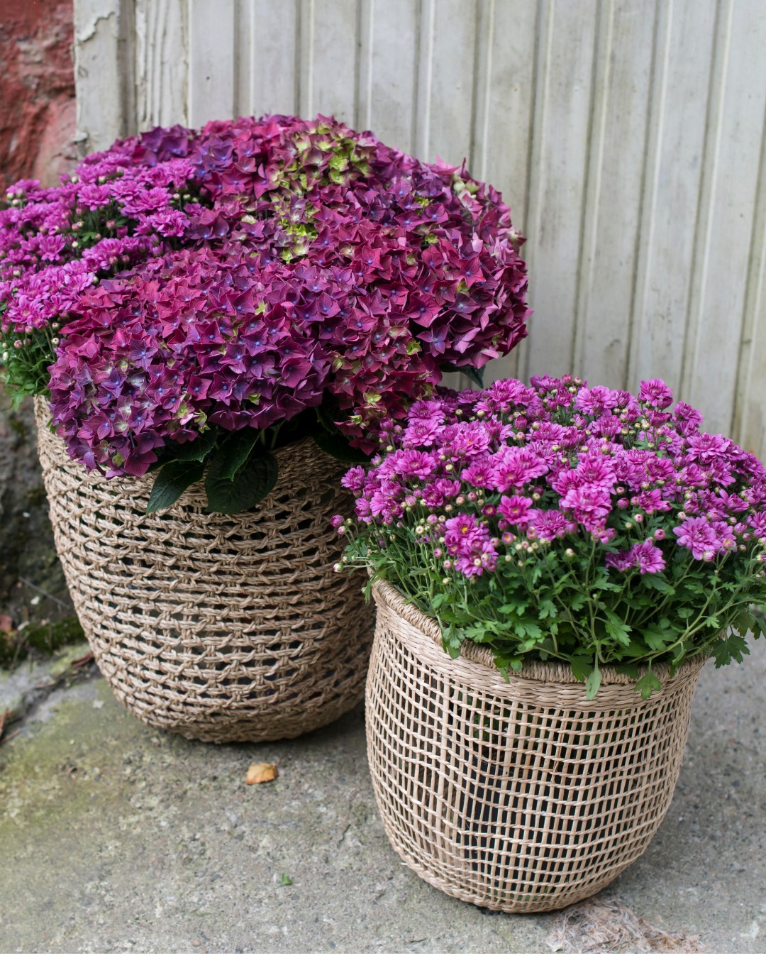 534409119_1232874035544343_9068868956429406918_n