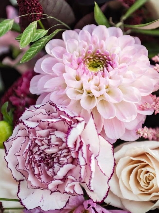 546752981_18425931889099299_2456145155135385646_n