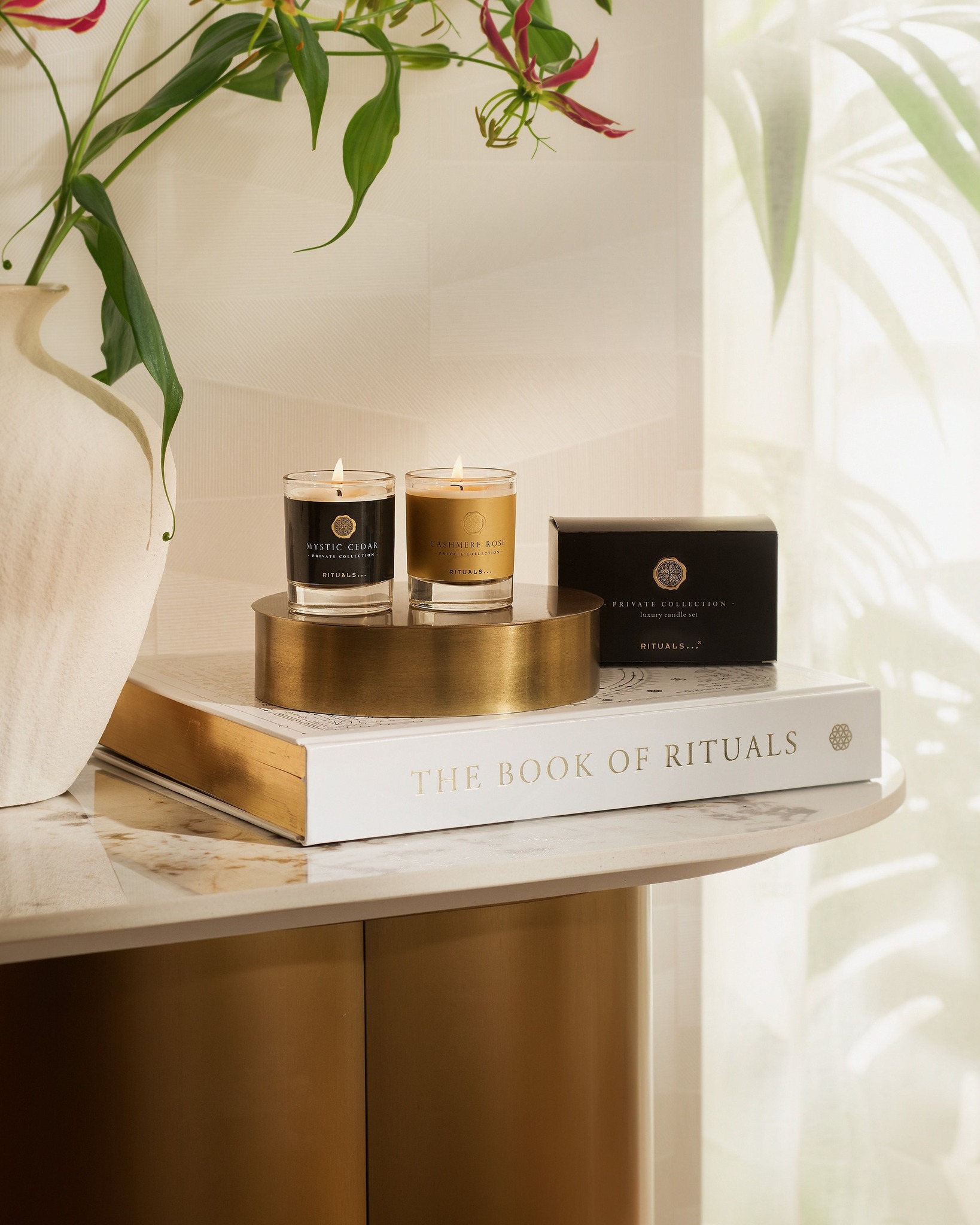 571153782_1145598494447780_790996953478546080_n