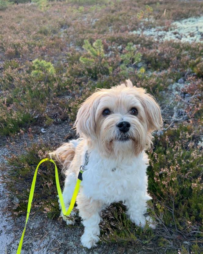 571833367_1305294278281566_7809080159897433744_n